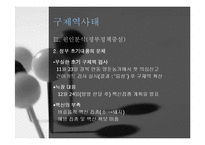 [행정책임론] 구제역 사태와 9.15 대규모 정전사태 사례 분석-13