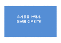 유기동물 안락사 찬반 토론-1