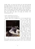 [사회심리학] 예술성과 공격성-13