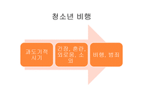 [사회문제론] 청소년 사이버 범죄 실태와 대안-3