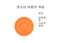 [사회문제론] 청소년 사이버 범죄 실태와 대안-4