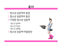 [청소년복지] 청소년 성문제의 유형과 대응방안-2