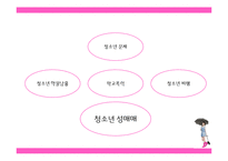 [청소년복지] 청소년 성문제의 유형과 대응방안-10