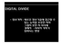 [사회학] 인터넷 시대의 정보격차 해소방안-3