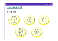 [노인복지] 노인학대와 자살 및 노인범죄 실태와 해결방안-15