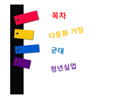 성인기의 인간발달과 사회복지 실천-다문화가정, 군대, 청년실업 문제 연구-2
