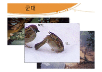 성인기의 인간발달과 사회복지 실천-다문화가정, 군대, 청년실업 문제 연구-7