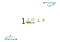 [국제문화] 호주의 문화와 관광지, 생활 매너 조사-8