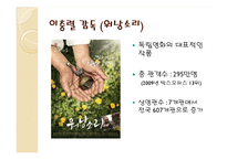 국내 독립영화의 현실과 발전방향-9