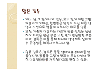 국내 독립영화의 현실과 발전방향-12