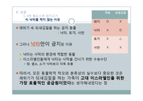 도서 `음식문화의 수수께끼` 요약 및 음식 금기 문화에 대한 고찰-13