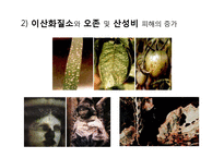 [인문학] 소설 `내 여자의 열매`속 자연회귀와 생태페미니즘 연구-15
