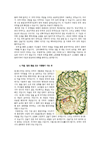 [환경학] 의식주 문화재를 통한 조상들의 생태적 지혜 연구-3