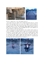 [환경학] 의식주 문화재를 통한 조상들의 생태적 지혜 연구-15