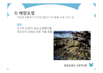 [환경 경제학] 환경오염과 사회적비용-13