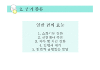 [영양학] 츄잉껌과 자일리톨 분석-12