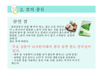 [영양학] 츄잉껌과 자일리톨 분석-18