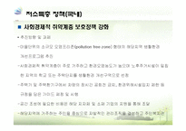 [환경정책론] 사회적 취약계층 환경성 질환 실태와 정책 개선방안-12