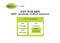 [환경학] 유전자 재조합 생물체 GMO 식품의 문제점-2