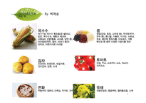 [환경학] 유전자 재조합 생물체 GMO 식품의 문제점-4