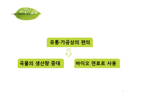 [환경학] 유전자 재조합 생물체 GMO 식품의 문제점-7