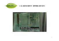 [환경학] 유전자 재조합 생물체 GMO 식품의 문제점-9