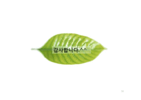 [환경학] 유전자 재조합 생물체 GMO 식품의 문제점-18