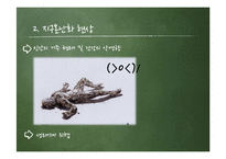 [환경학] 지구 온난화 원인과 대책-13