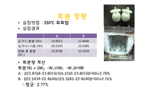 [식품공학] 식품화학이론 및 실험-땅콩류 `E-맛꾸러미`-4