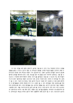 [제조공정] 신세계푸드시스템의 HACCP-6
