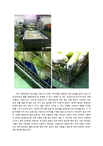 [제조공정] 신세계푸드시스템의 HACCP-8