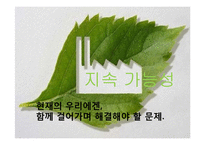 [환경학] 의식주 문화재를 통한 조상들의 생태적 지혜 연구-3