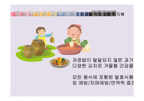 [환경학] 의식주 문화재를 통한 조상들의 생태적 지혜 연구-10