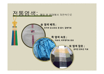 [환경학] 의식주 문화재를 통한 조상들의 생태적 지혜 연구-19