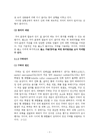 [화학공학] 기능성 발포형 구강청결제 설계-6