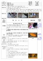 [아동교육] 만 4~6세 아동미술 모의 수업 계획안-가을 나무 꾸미기-1