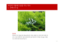 [평생교육] 자연재해 대피요령 프로그램-18