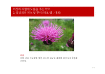[평생교육] 자연재해 대피요령 프로그램-19