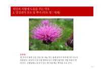 [평생교육] 자연재해 대피요령 프로그램-20