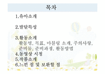 [아동교육] 만 4~6세 아동미술 모의 수업 계획안-가을 나무 꾸미기-2