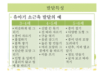 [아동교육] 만 4~6세 아동미술 모의 수업 계획안-가을 나무 꾸미기-5