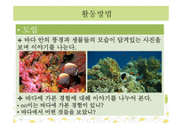 [아동교육] 만 4~6세 아동미술 모의 수업 계획안-가을 나무 꾸미기-13