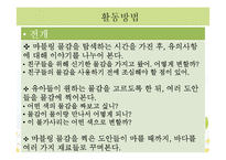 [아동교육] 만 4~6세 아동미술 모의 수업 계획안-가을 나무 꾸미기-14