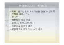 [체육교육] 피겨스케이트 종목 연간 트레이닝 계획-12