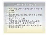 [체육교육] 피겨스케이트 종목 연간 트레이닝 계획-14