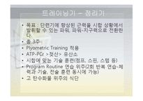 [체육교육] 피겨스케이트 종목 연간 트레이닝 계획-16
