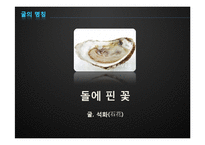 [수산경영] 굴 양식업-2