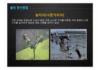 [수산경영] 굴 양식업-8