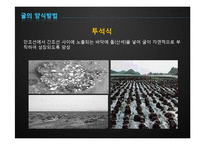 [수산경영] 굴 양식업-9