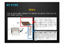[수산경영] 굴 양식업-10